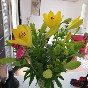 Meet your Posher, Sonya